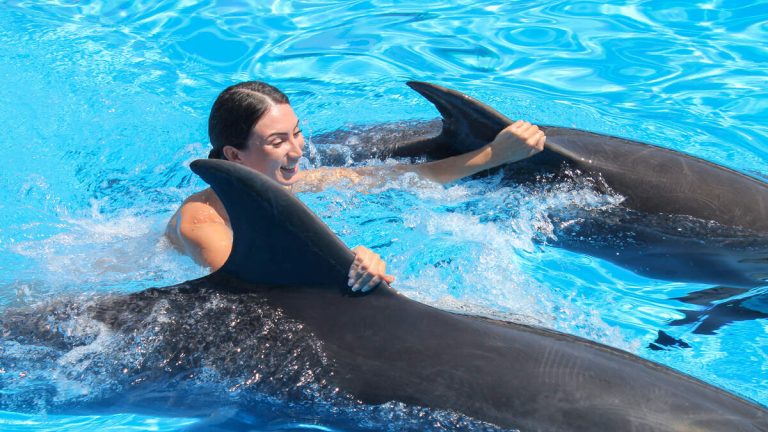 Woman Severely Injured After Falling Off Dolphin While On Vacation