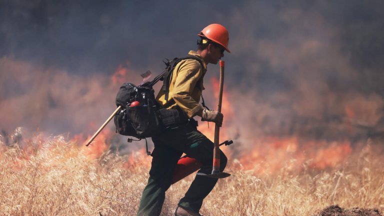 ATF Conducts Controlled Burn in Pacific Palisades