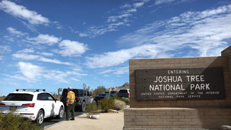 Joshua Tree National Park Plans $5M Upgrade