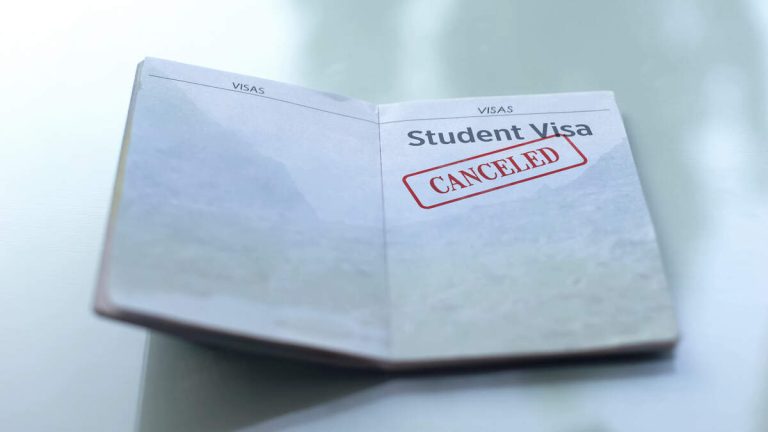 Nearly All Foreign Students Whose Visas Were Revoked Had Criminal Records