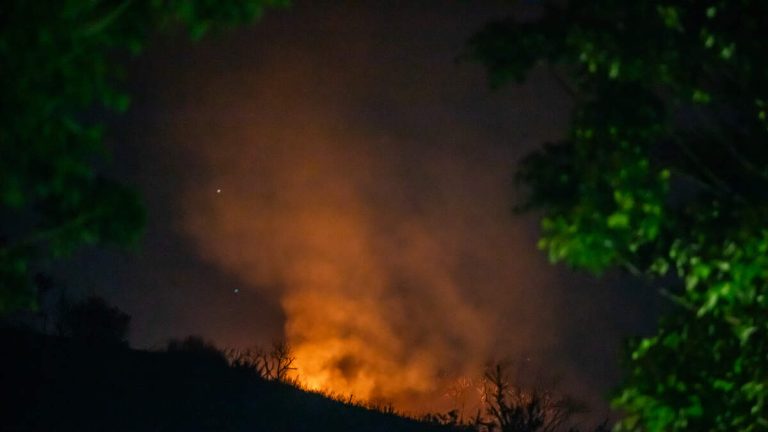 Residents Express Concerns Over ATF Controlled Burn in Pacific Palisades