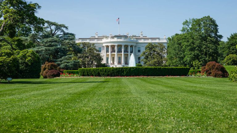 White House Lawn Lined With Mugshots Of Illegal Migrants