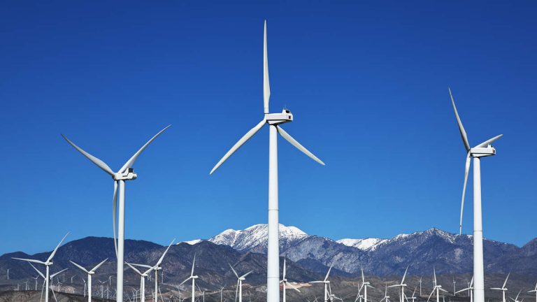 California Sues Trump Over Halting Wind Energy Projects