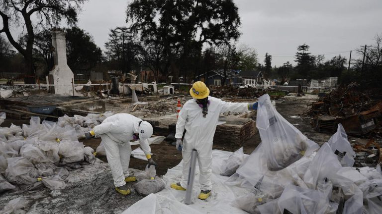 Contaminated Soil Found at Pasadena Schools Post-Eaton Fire