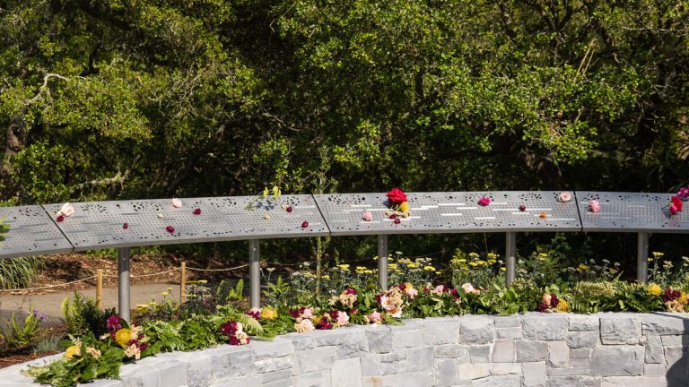 Golden Gate Park Opens First U.S. Breast Cancer Memorial