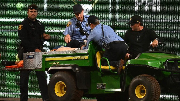 MLB Fan’s Frightening Injuries After Fall From Stadium Wall Revealed
