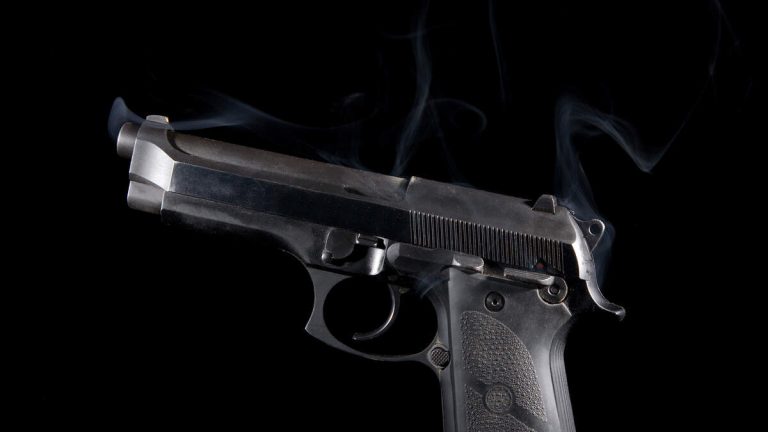 Student’s Gun Discharges in Marina del Rey School