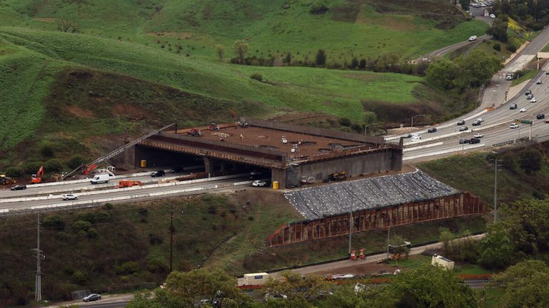 101 Freeway Wildlife Crossing Nears Completion