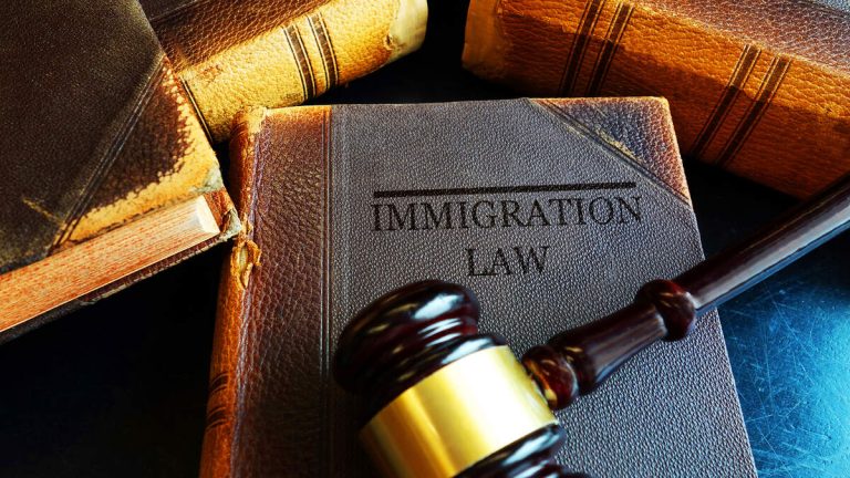 California Fourth Grader Detained by ICE at Hearing