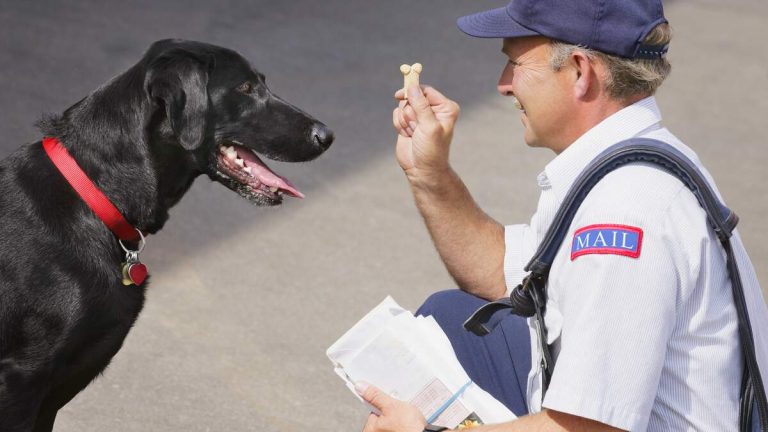 Dog Attacks On Mail Carriers Jump To Seven-Year High
