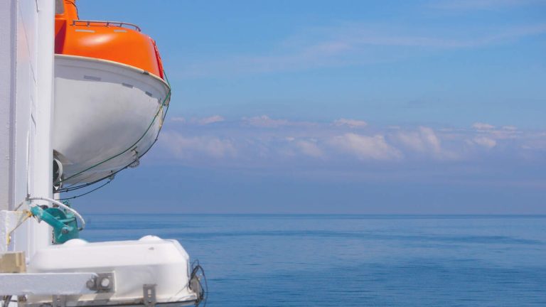 Father Jumps Overboard After Young Daughter Falls Off Cruise Ship