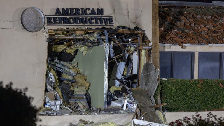 Person Arrested at JFK in Palm Springs Clinic Bombing Case