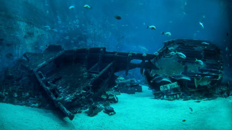‘World’s Richest Shipwreck’ With Billions In Treasure Located Off Colombia