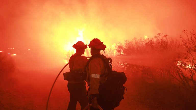 LAFD Launches New Red Flag Alert System for Fire Season