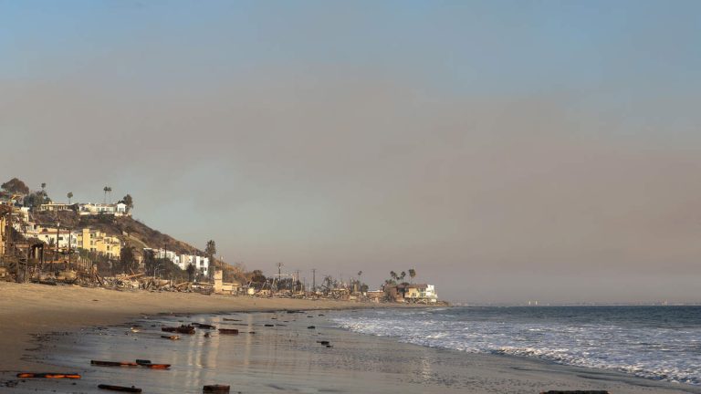 LA’s Beaches Six Months After The Fires – Are They Safe?