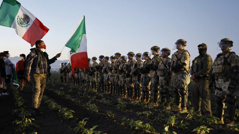 Undocumented Minors Found in Raid on Ventura Cannabis Farms