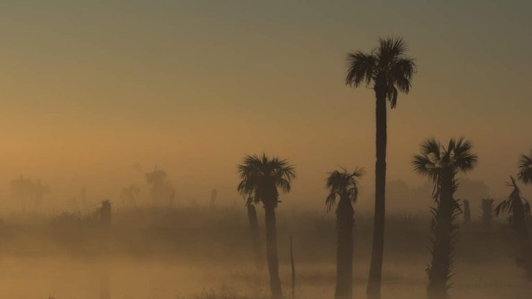 Plume Of Dust From The Sahara Desert To Bring ‘Dirty Rain’ To Florida