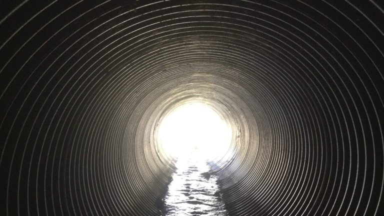 Police Probe Death of Man Found in Red Line Tunnel