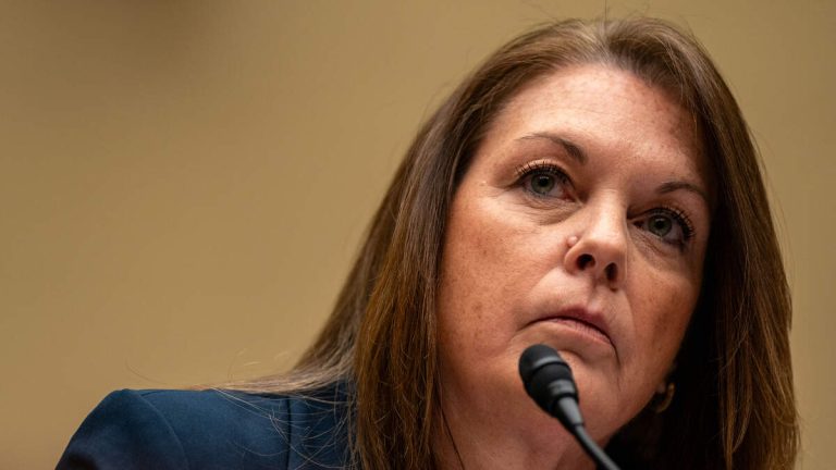 Secret Service Director Faces Harsh Criticism During Congressional Hearing