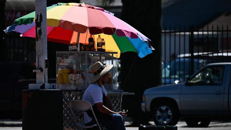 Street Merchants Reach Settlement with City of LA Over Vending Rules
