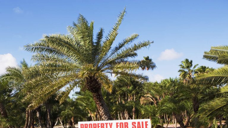 Florida Couple Livid After Purchasing $350,000 Property They Can’t Build On