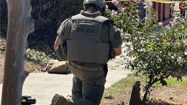 Gardener Discovers Four Russian-Style Grenades Hidden In Bushes Near Park