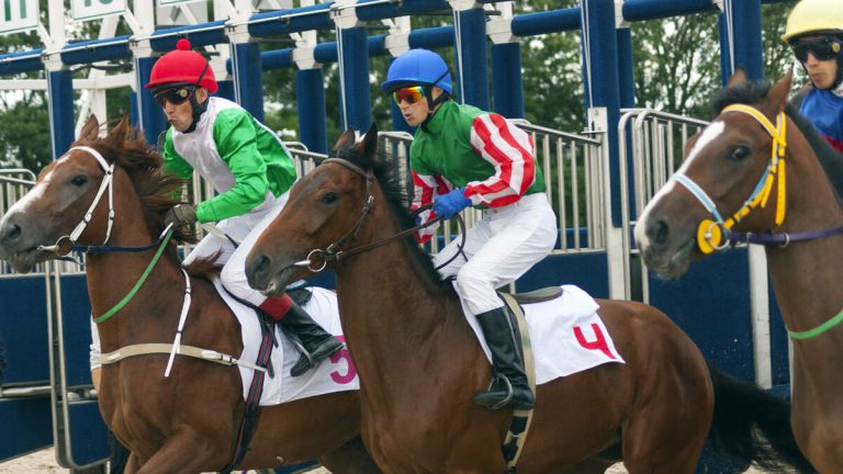 Horse Suffers Fatal Injury in Race at Los Alamitos