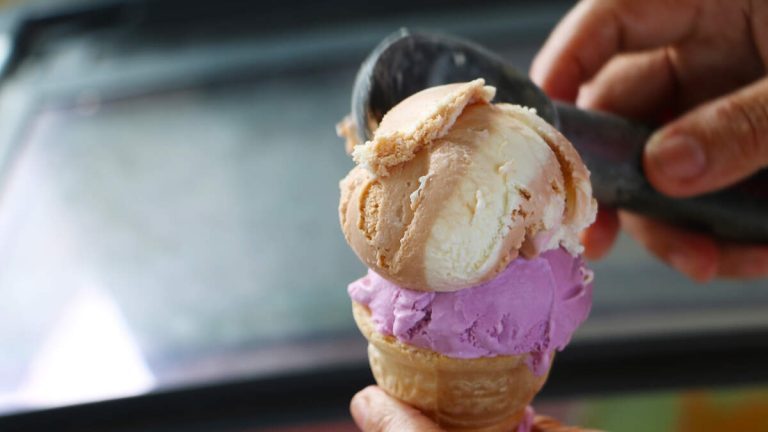 Neighbor’s Complaint Forces Boy To Shut Down Charity Ice Cream Stand