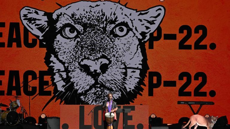 Artists Sought for Future P-22 Sculpture at Griffith Park