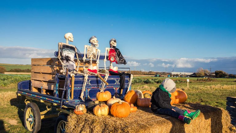 Child Killed After Being Run Over By Tractor At Haunted Halloween Hayride