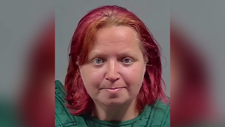 Florida Woman Allegedly Used Roblox To Instruct 10-Year-Old To Kill Infant