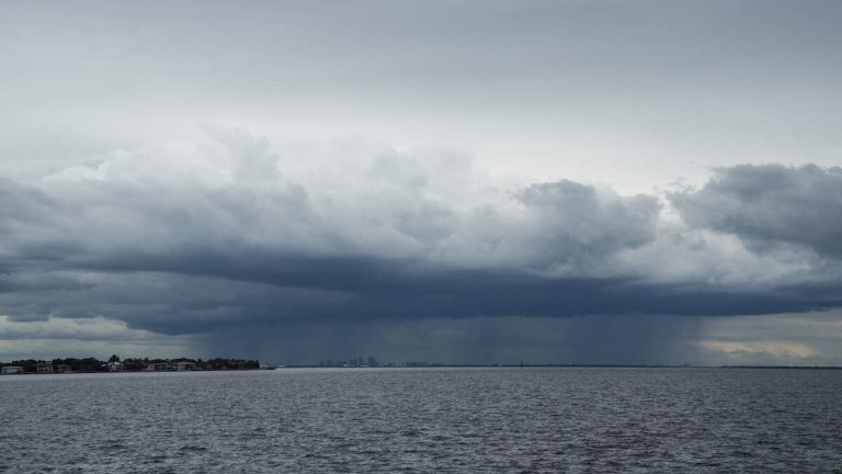 Video Shows Hurricane Milton Sucking Water Out Of Tampa Bay