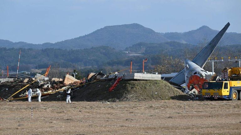 2 More Planes Nearly Crash Hours After Jeju Airlines Tragedy