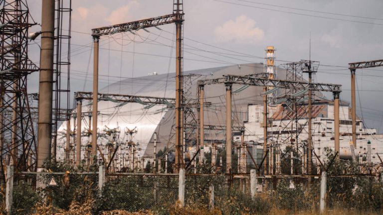 Dogs Living Near Chernobyl Have Developed New Superpower