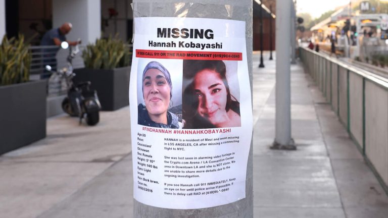 Missing Hannah Kobayashi May Have Been Caught In ‘Scam Marriage’: Report