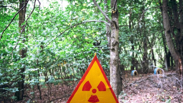 Species In Chernobyl Is Mutating To ‘Feed’ On Nuclear Radiation