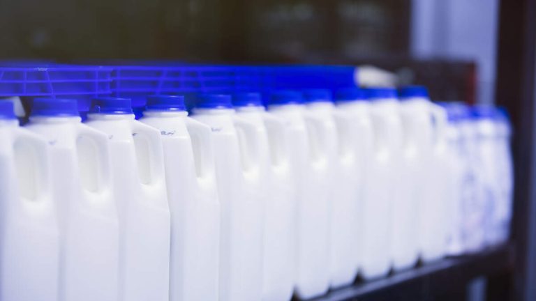 USDA Orders Bulk Testing Of Milk For Bird Flu