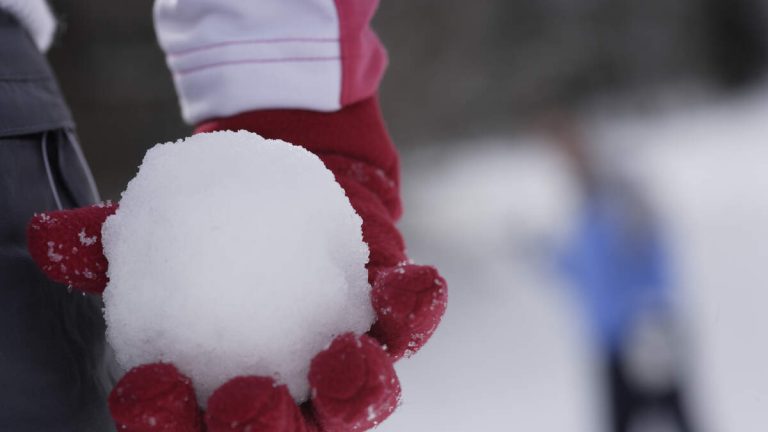 Boy, 12, Shot Multiple Times After Throwing Snowballs At A Passing Car