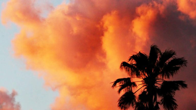 Brush Fire Fanned by High Winds Devastates Pacific Palisades