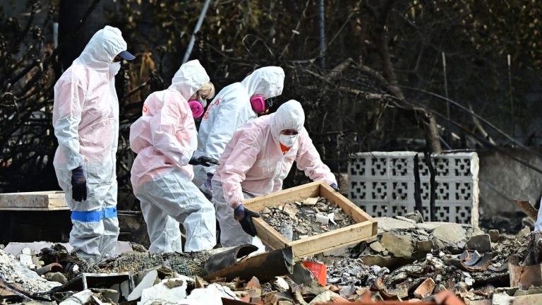 Debris Clearance Program Forms Become Available Tuesday