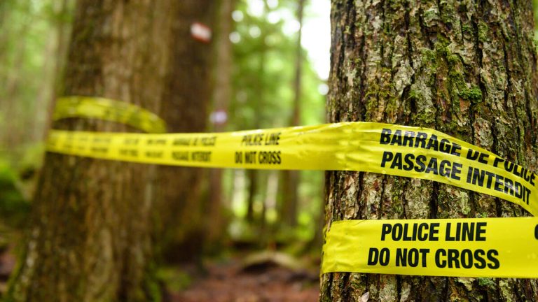 Decomposing Human Remains Found On Public Hiking Trail