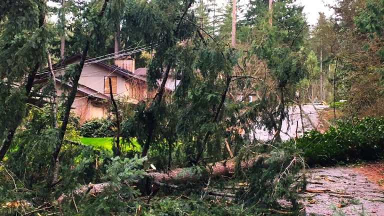 Fire Danger Gives Way to Flooding Concerns as Rain Bears Down on LA