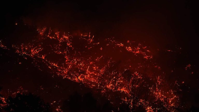 Homeless Man Arrested After Using ‘Flamethrower’ To Start LA Wildfire