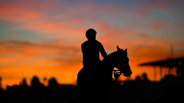 Horse Dies After Racing Injury at Santa Anita