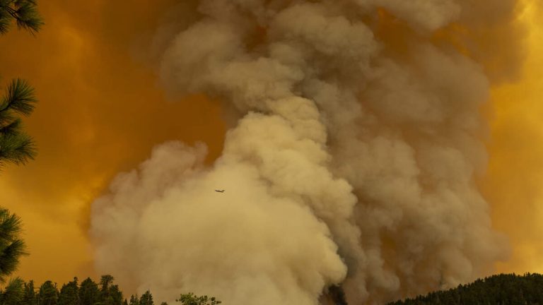 Relentless Santa Ana Winds to Continue Raging Through Southland