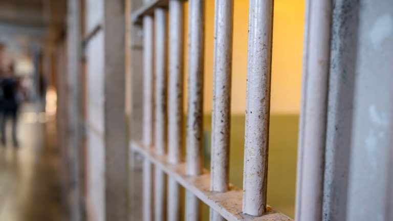 Attorney Who Represented Rodney King Sentenced to Prison on Tax Charge