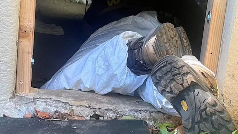 Calif. Man Makes Horrifying Discovery After Returning Home After Eaton Fire