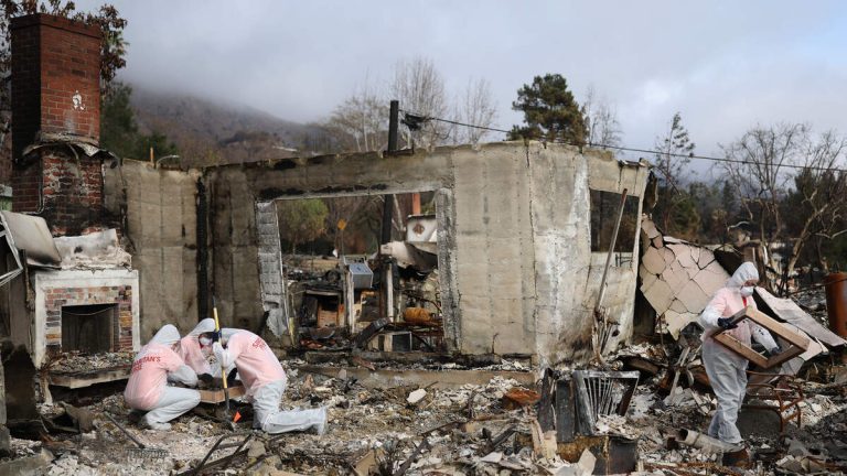 US EPA Administrator, Former VP Harris Tour Wildfire Areas