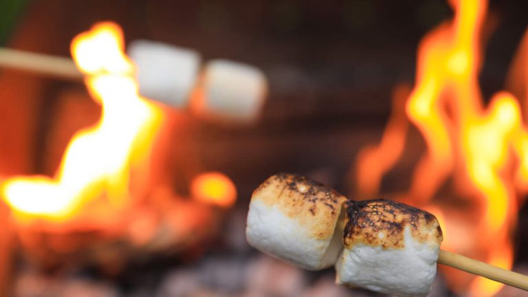 Backyard S’mores Caused Long Island Brush Fires That Burned 600 Acres