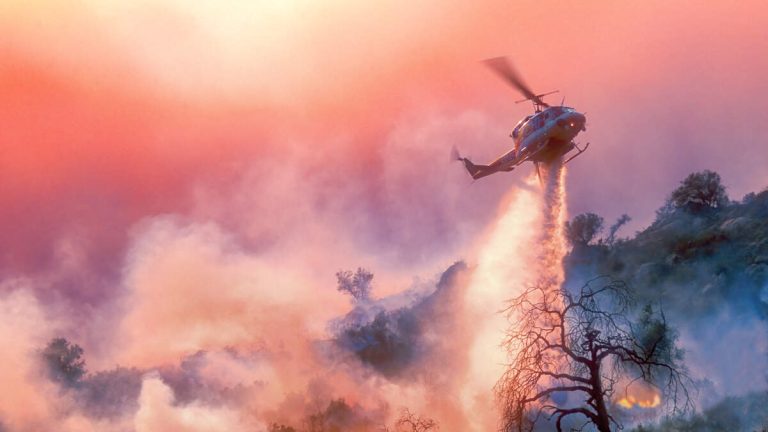 Wildfire Prevention Efforts Underway in Bommer Canyon